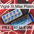 Vigra Xl Max Platinum 40